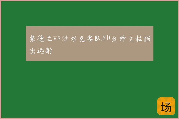 桑德兰vs沙尔克客队80分钟立柱挡出远射